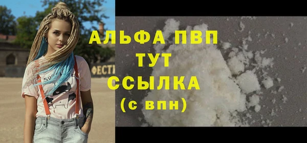 гашик Мегион