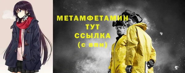 гашик Мегион