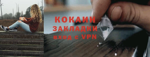 ГАЛЛЮЦИНОГЕННЫЕ ГРИБЫ Михайлов