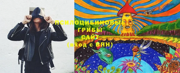 Альфа ПВП Медногорск