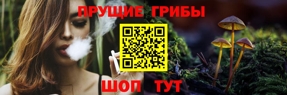 Березники  где купить наркотик  Вход с VPN  Галлюциногенные грибы мухоморы 